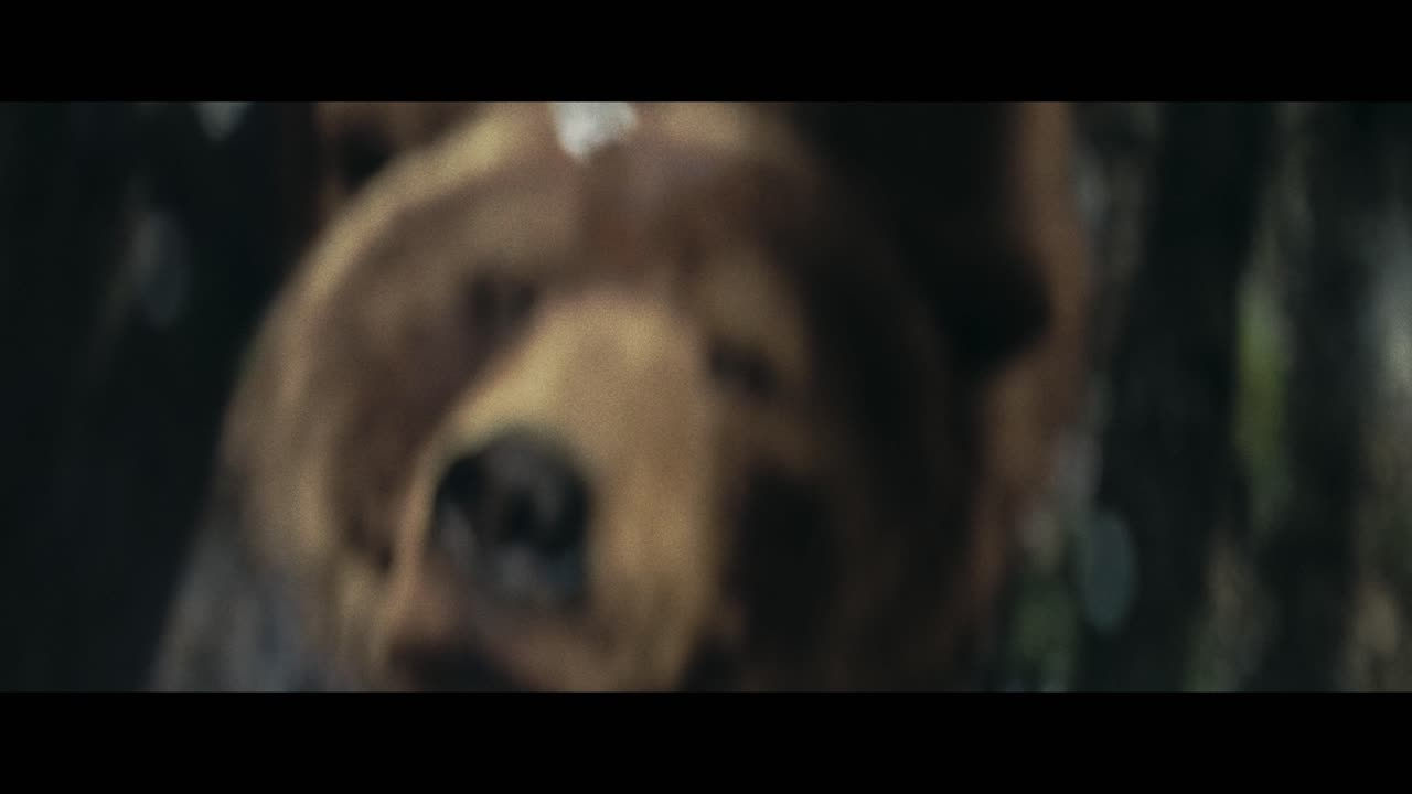 The Hunt for Hibernation - Zauberberg Productions - Citroen