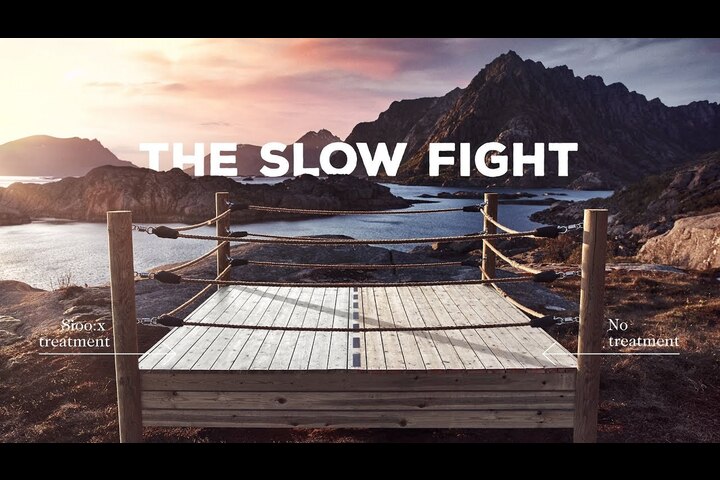 The Slow Fight - Sioo:x - Wood protection