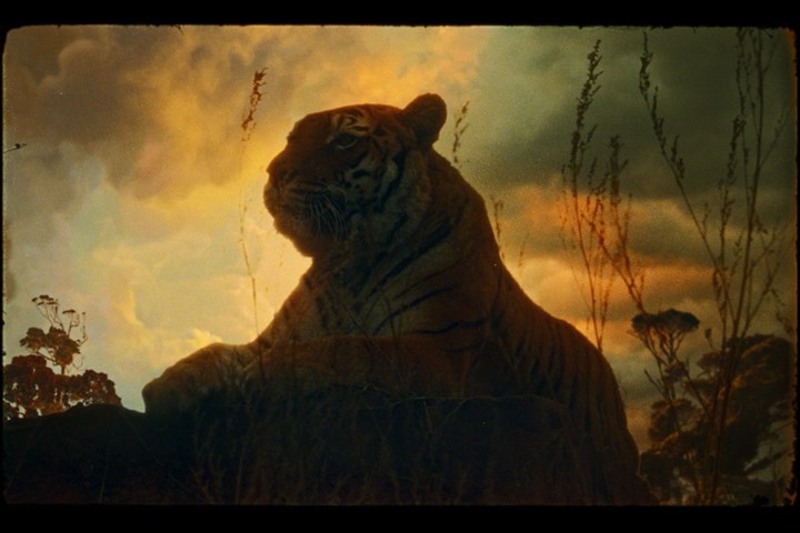 The Tyger - Simon & Paul -