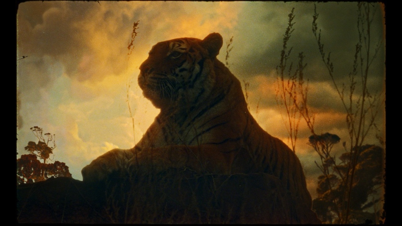 The Tyger - Simon & Paul -