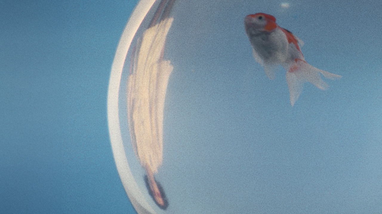 REFRACTIONS - ArtCenter College of Design - Zimmermann