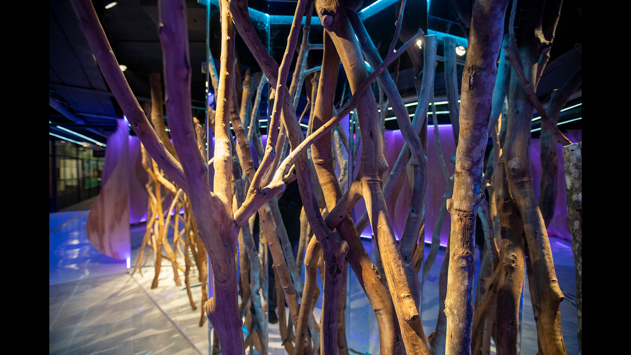 Kosmos - 2022 - BIJARI