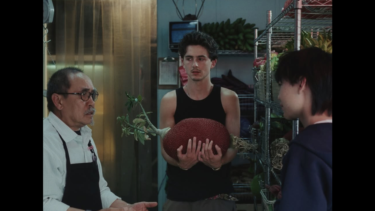 Timothée Chalamet for Cash App - Object & Animal - Cash App