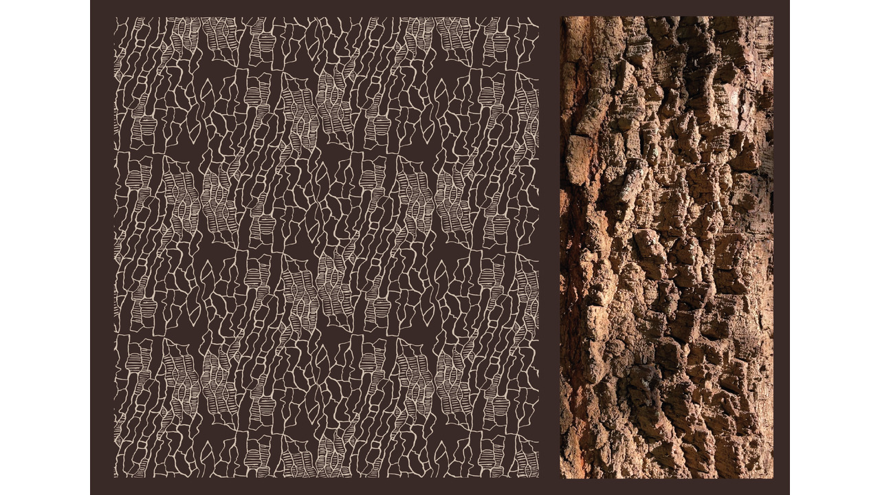 Coleção HORTO/GRÁFICO - 2024 - POLCA