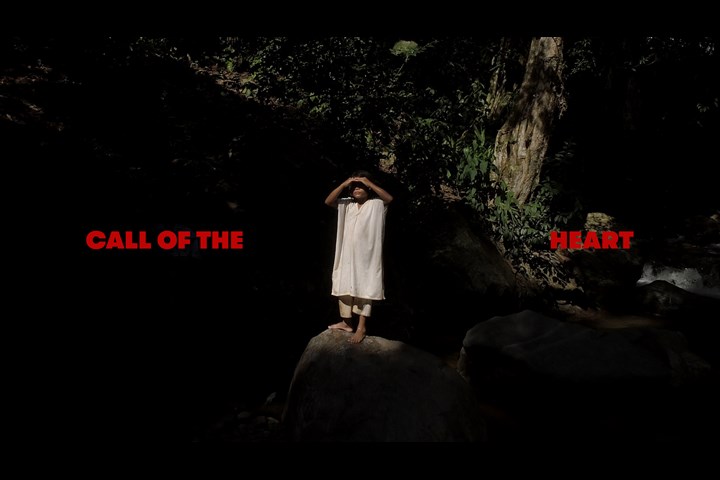Call Of The Heart - Du'Deh - -