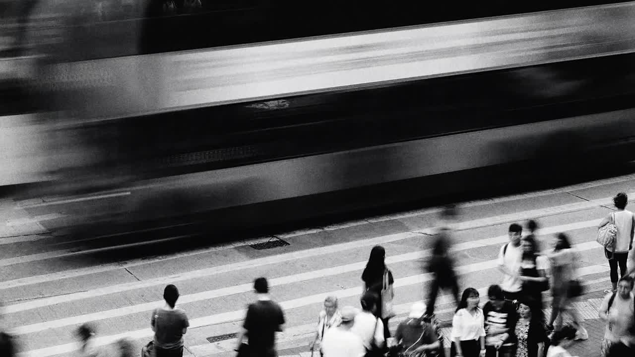 Observations on a Leaf, at dawn, covered in morning mist. - Stink - 