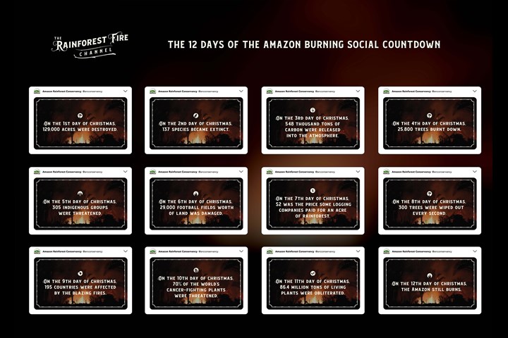 The Rainforest Fire Channel - Amazon Rainforest Conservancy - Amazon Rainforest Conservancy