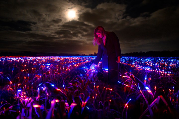 GROW - GROW - Studio Roosegaarde