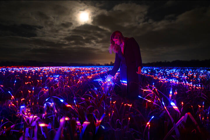 GROW - GROW - Studio Roosegaarde