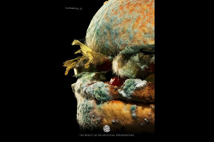 Moldy Whopper - Moldy Whopper - Burger King / Miami