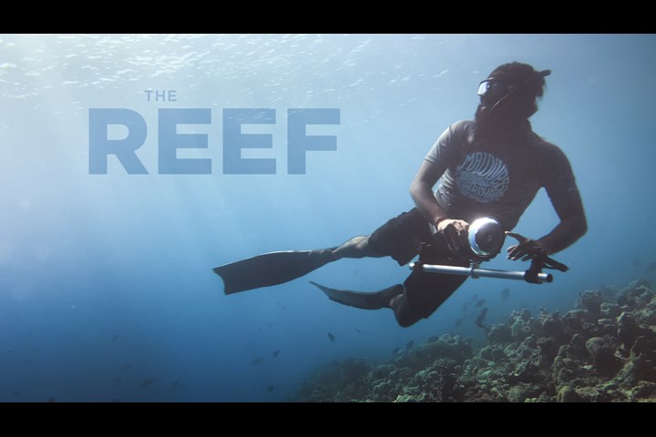 The Reef - Revolutio Creative - iPhone