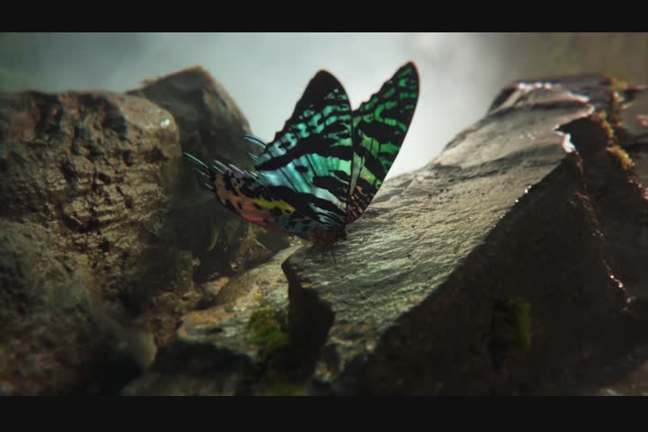 Sky Nature idents - Sky Nature - Sky