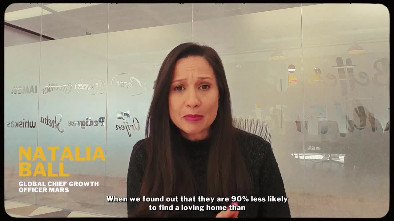 Pedigree Caramelo - Pedigree - Mars