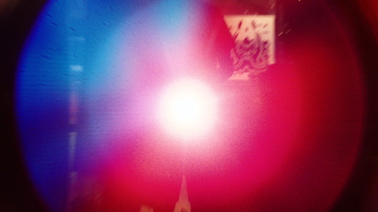 Before we vanish - Dollhaus - David Weksler