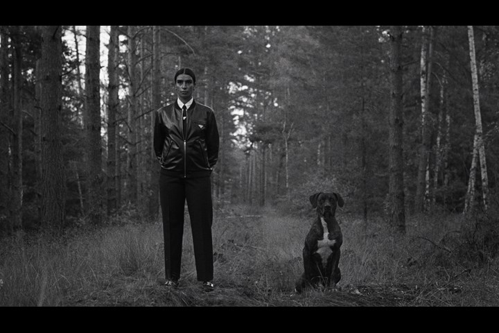 HABIBI - Twisted Elegance - Sevdaliza
