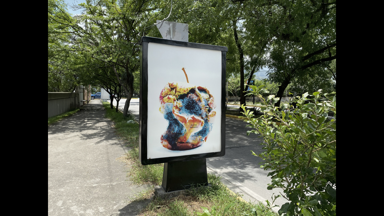 Waste - 2023 - Maurício Firmino Jr.