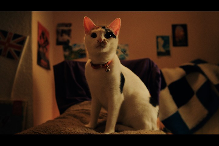 Beauty Banks — A Helping Paw - National Film and Television School - Beauty Banks