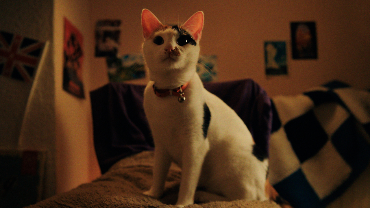Beauty Banks — A Helping Paw - National Film and Television School - Beauty Banks