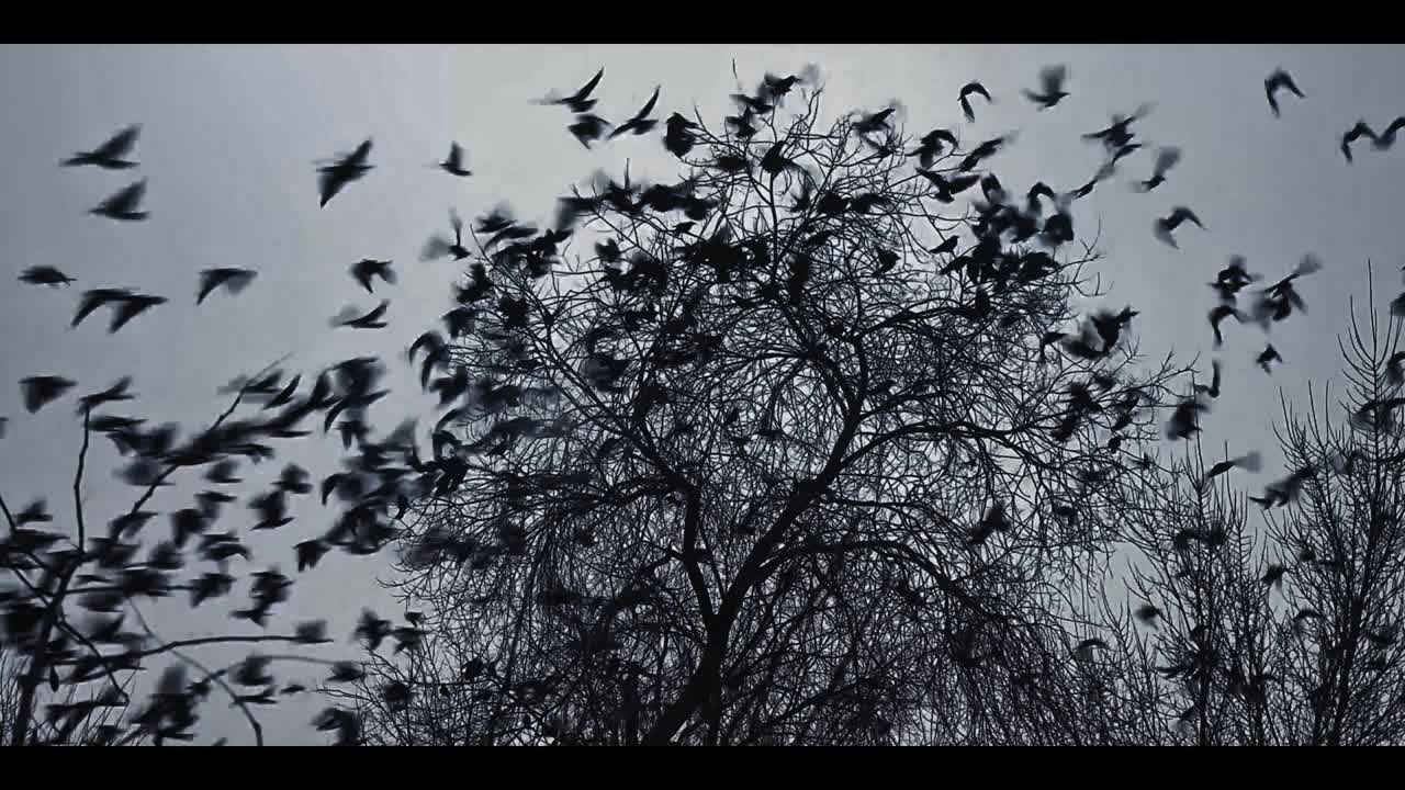 Tata 'Stealth' - Feel the Presence - Fingerprint Films - Tata Motors