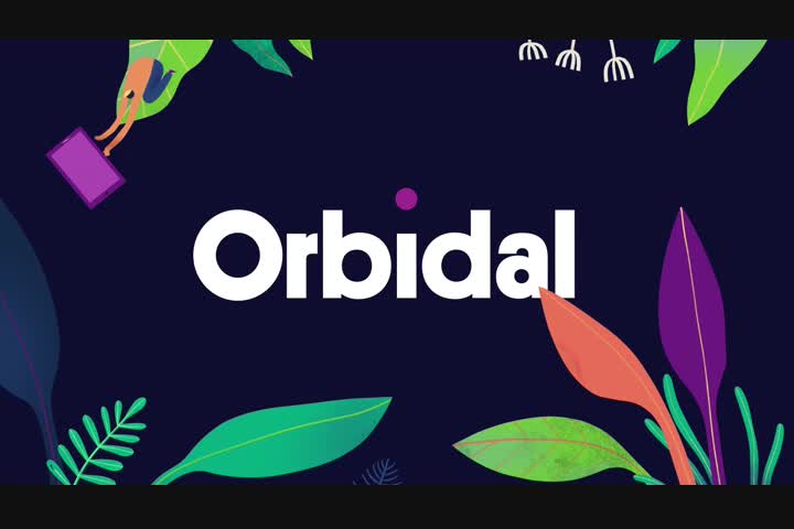 Orbidal Brand - SaaS Platform (Software) - Orbidal