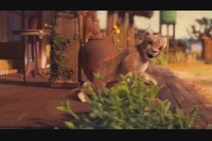 Born Free Foundation - The Bitter Bond -