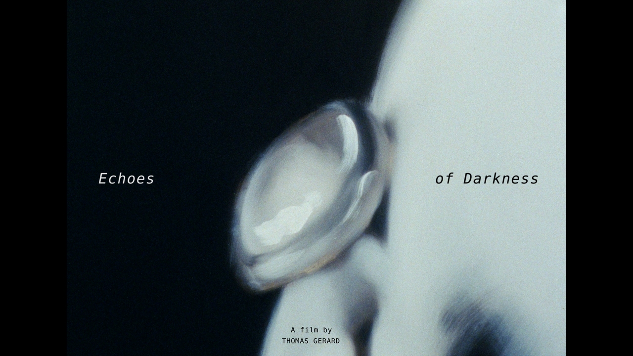 Echoes Of Darkness - 181 Films - Kasmin Gallery
