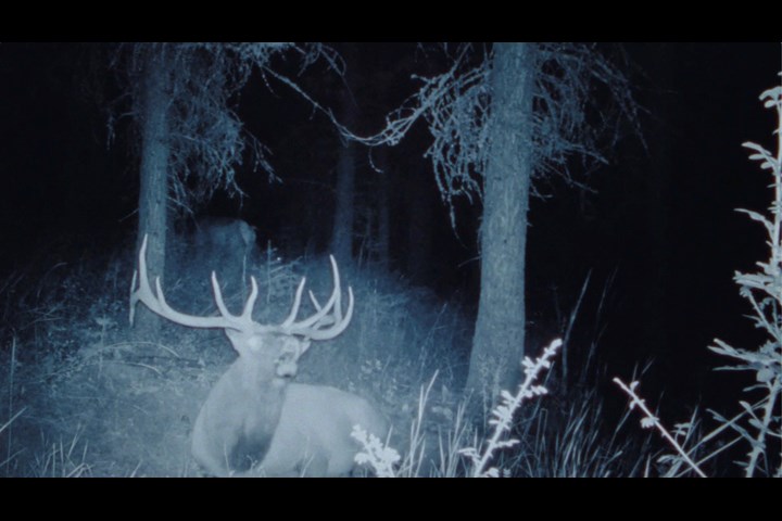 Don't Get Them a YETI - Outdoor Products - YETI