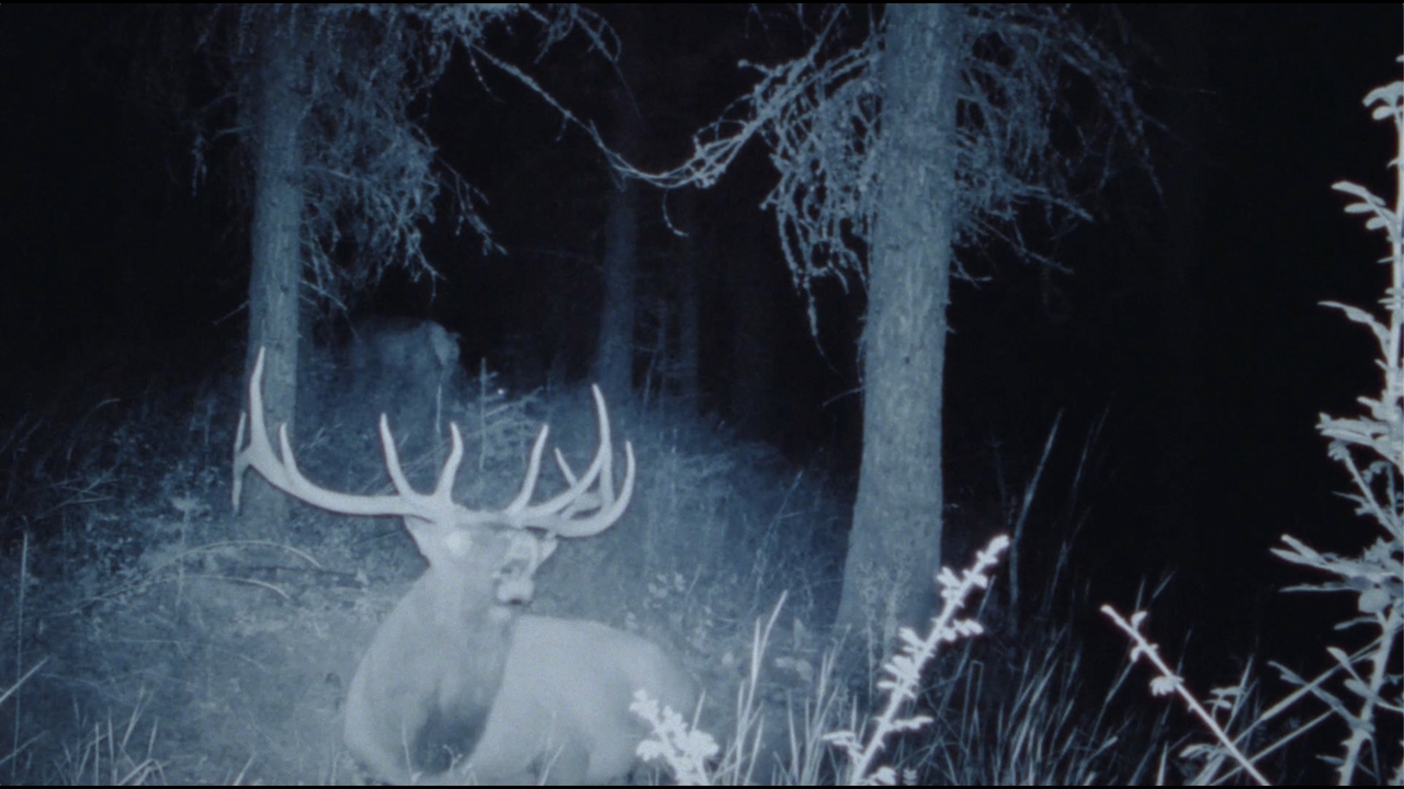 Don't Get Them a YETI - YETI - Outdoor Products