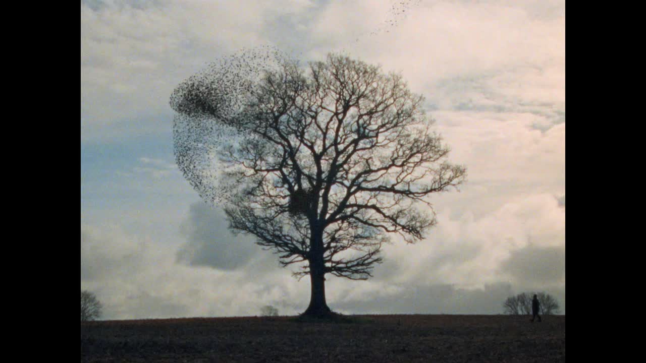 Radical Tenderness - Just Upstairs - Nick Mulvey