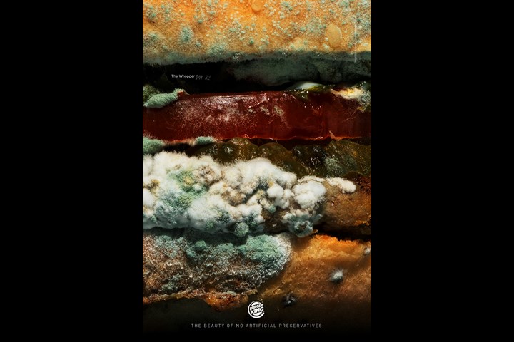 Moldy Whopper - Moldy Whopper - Burger King / Miami