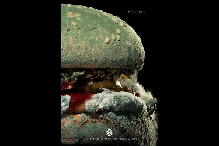 Moldy Whopper - Moldy Whopper - Burger King / Miami