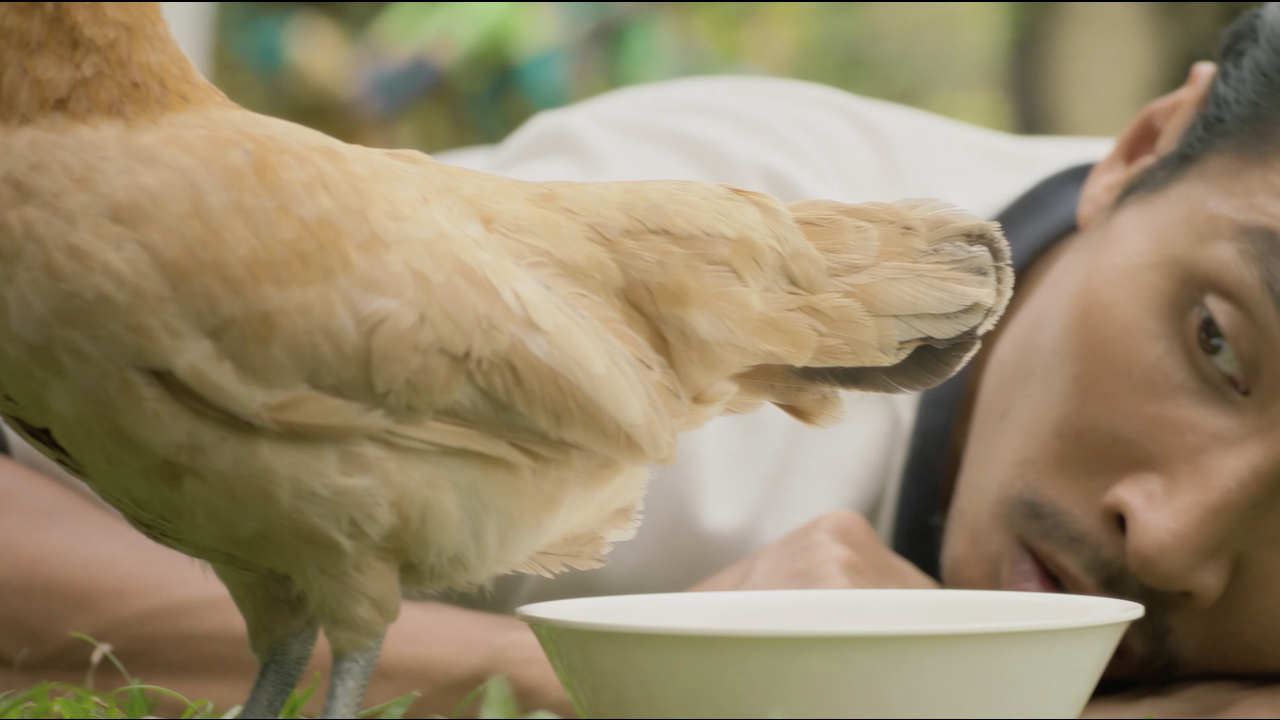Chicky - GrabMart - GrabMart
