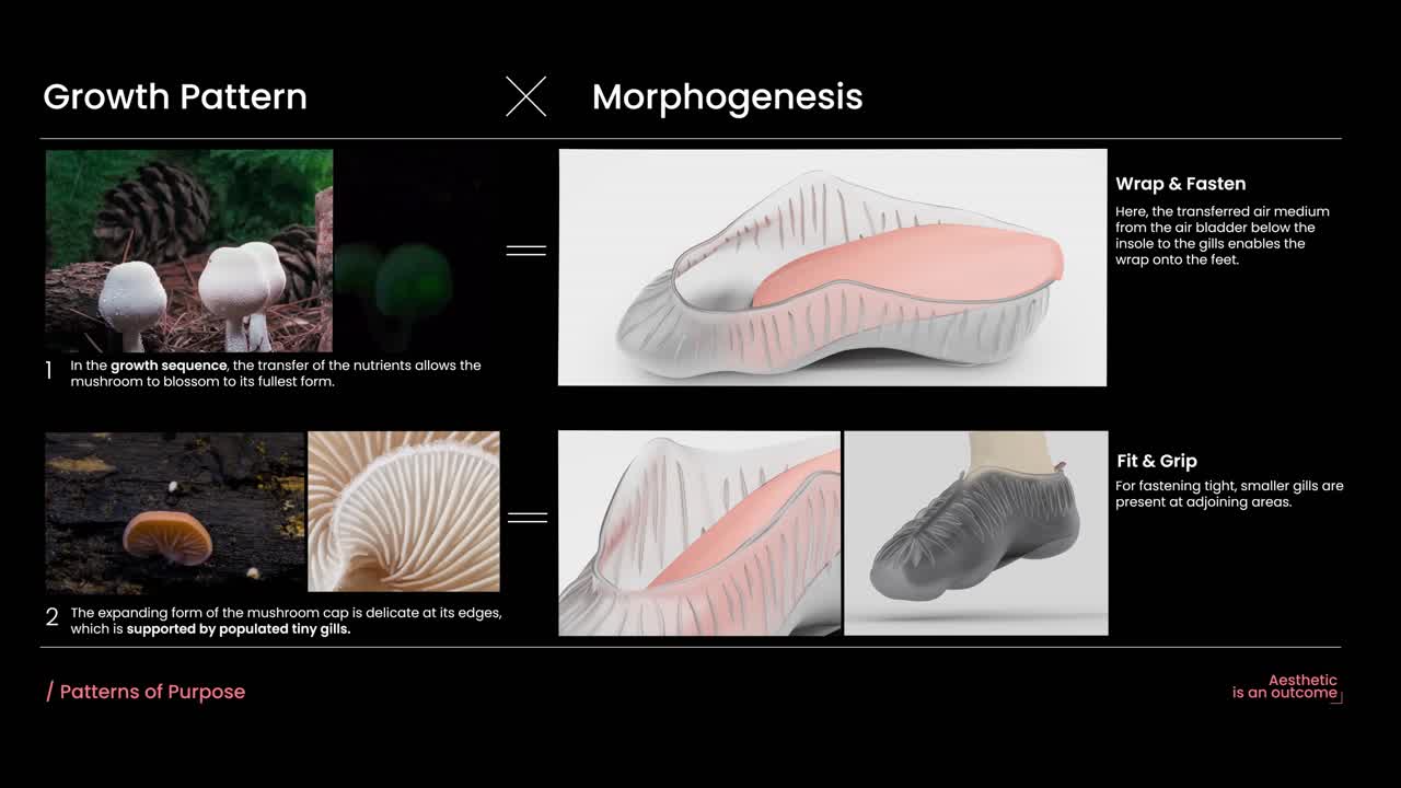 Adaptive Shoe - - 