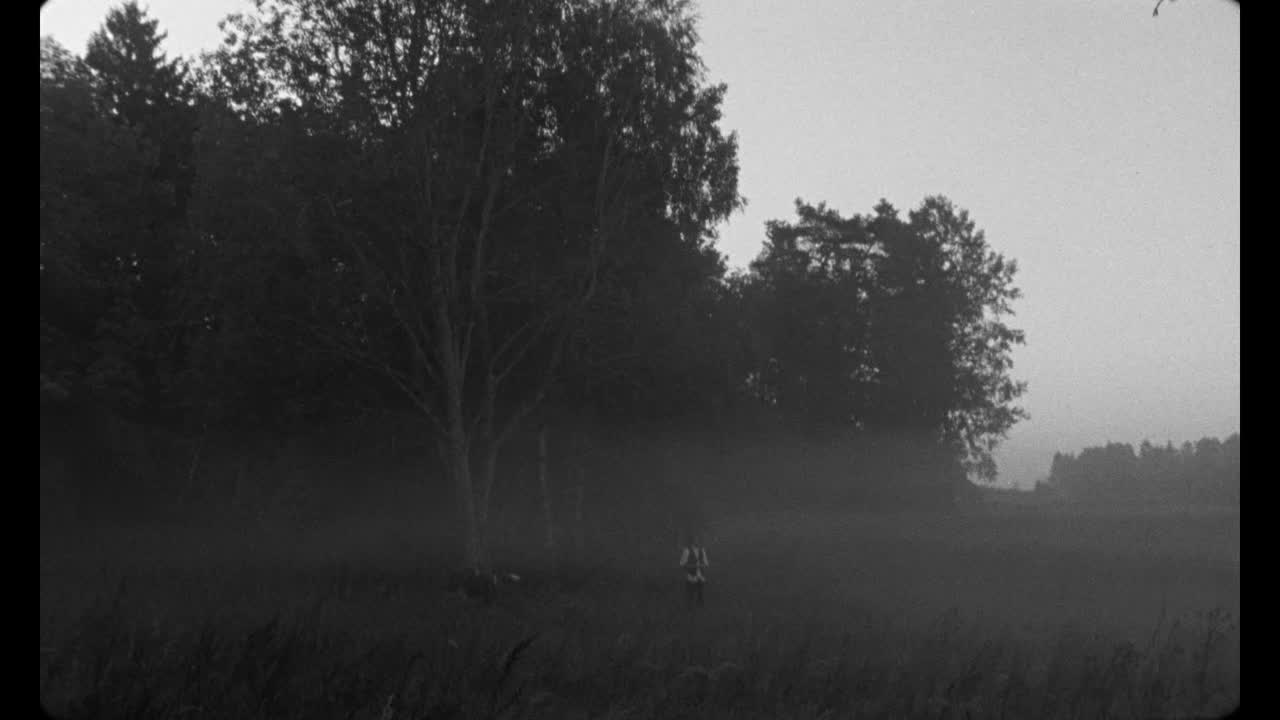 Sense of Place - Some Films - Naive