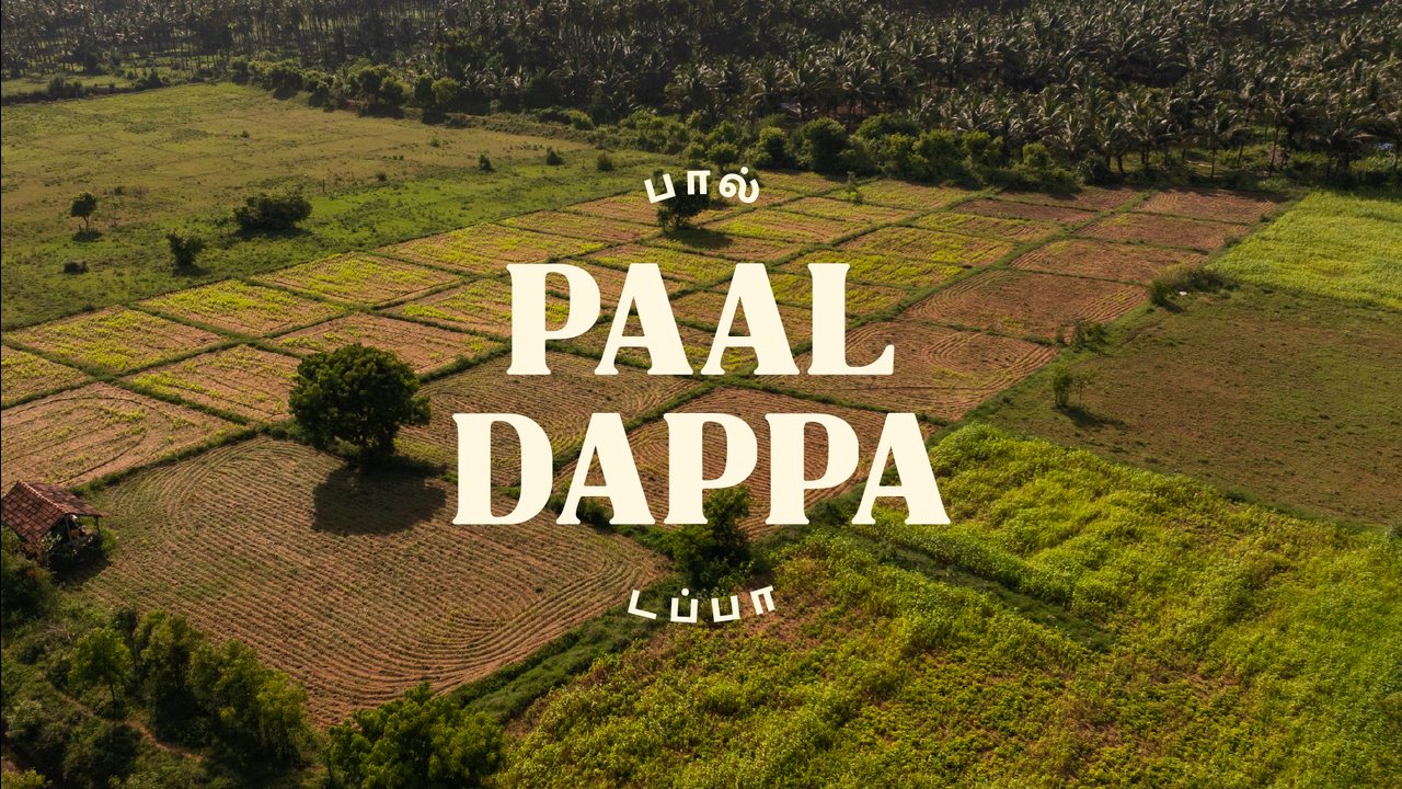 Paal Dappa - Paal Dappa - Mahatva Dairy Industries