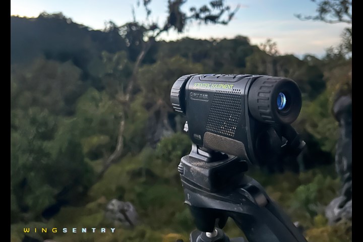 WingSentry - WingSentry - Behavioural Ecology & Conservation Group