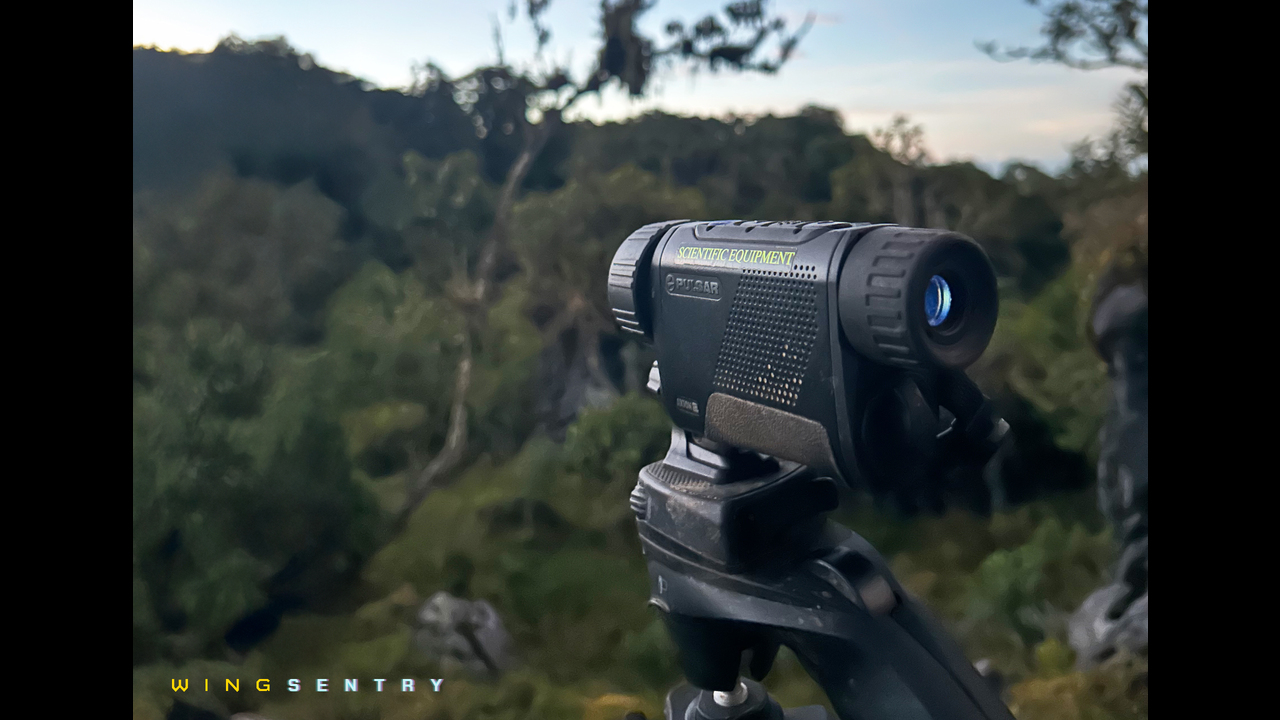 WingSentry - WingSentry - Behavioural Ecology & Conservation Group