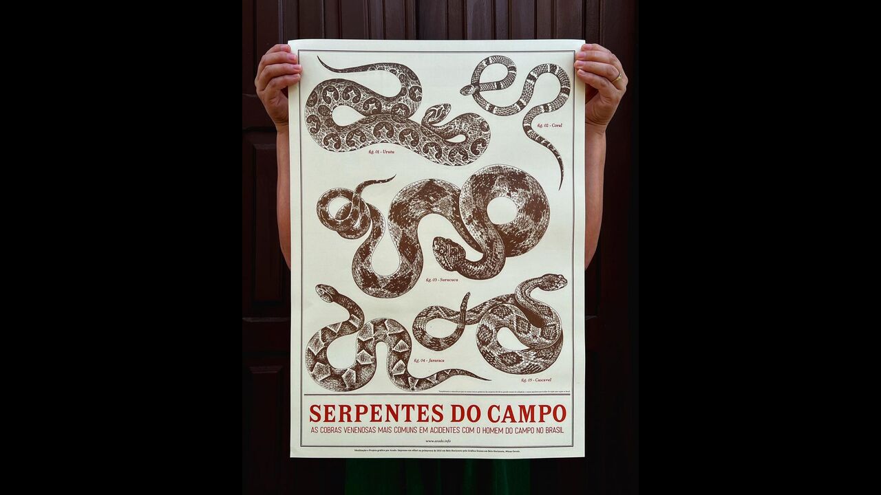 Gráfica Brasiliana - 2024 - Estúdio Arado