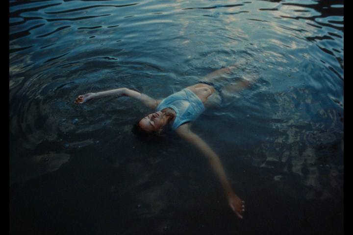 All the Wild Hearts Here Below - / - /