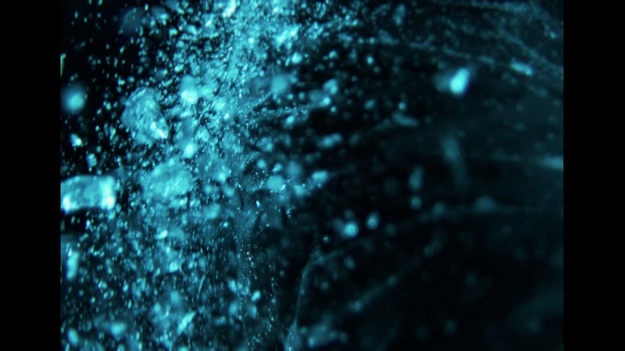 It's WS2 - Raban Media - Warsaw Sneaker Store