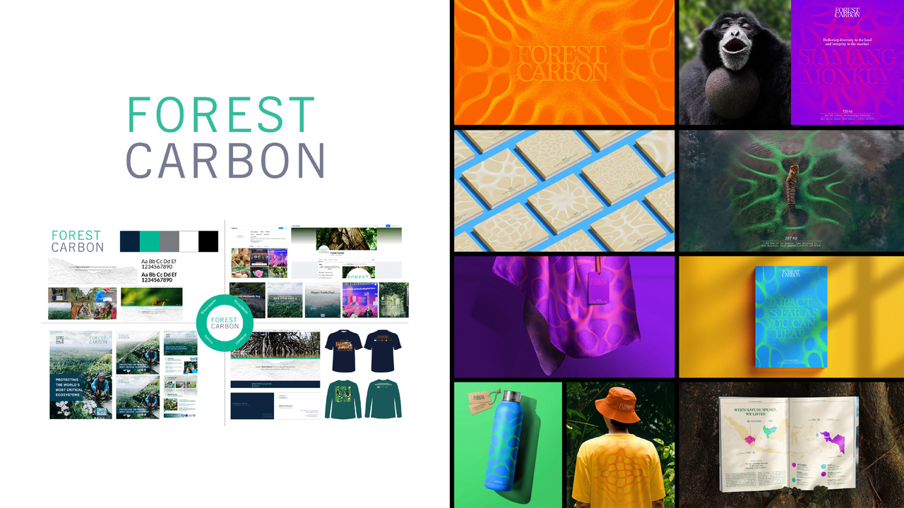 Forest Carbon - - Forest Carbon