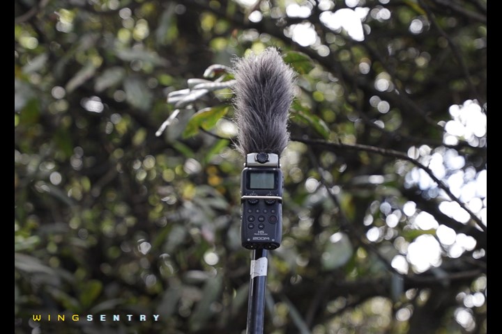 WingSentry - WingSentry - Behavioural Ecology & Conservation Group