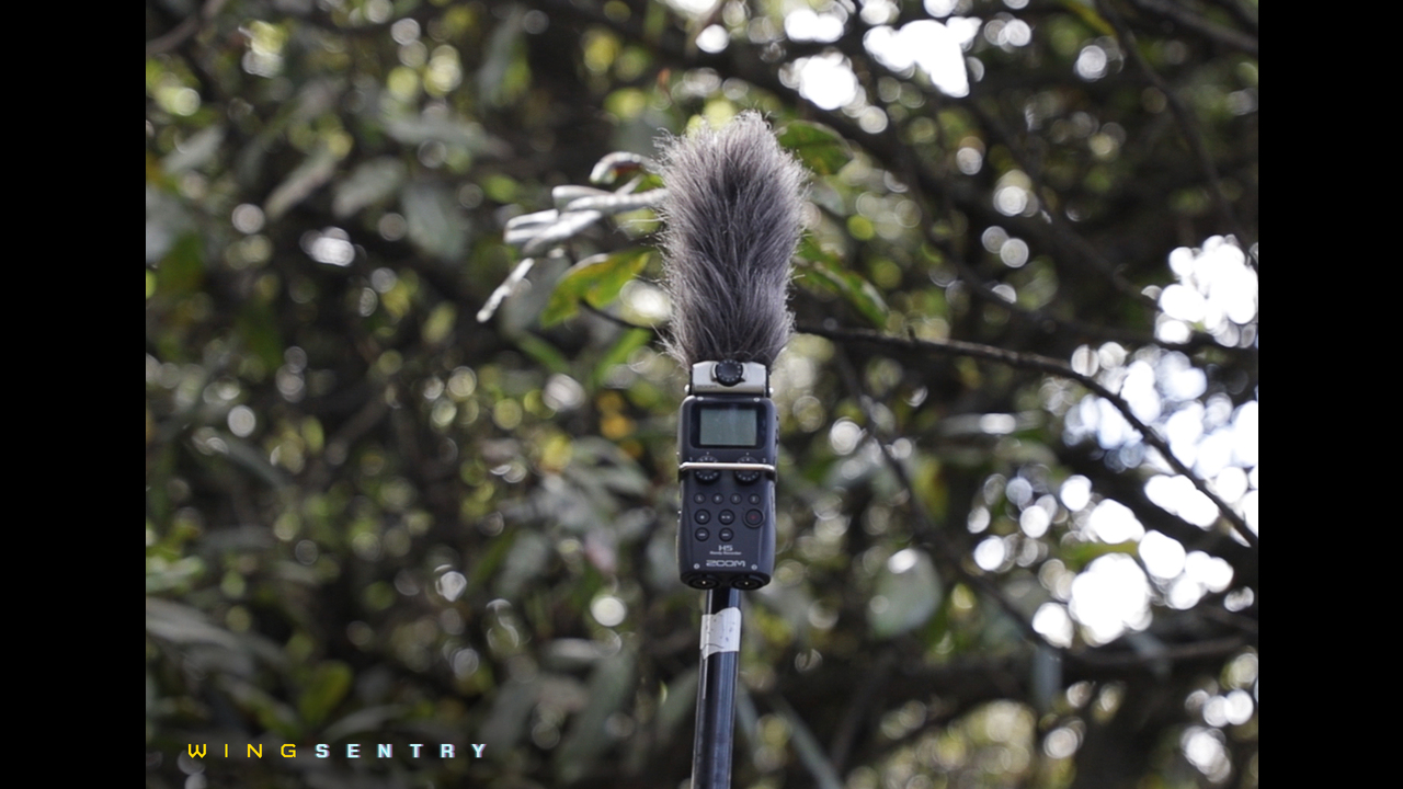 WingSentry - WingSentry - Behavioural Ecology & Conservation Group