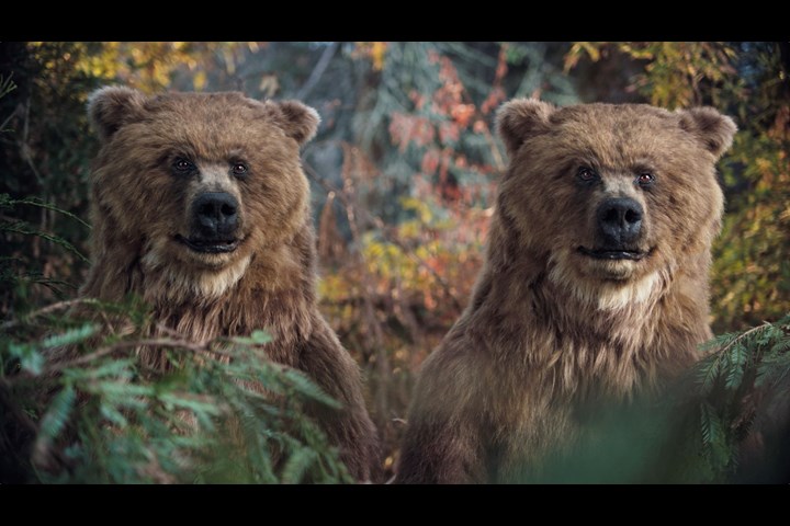Bears - Twix - Twix