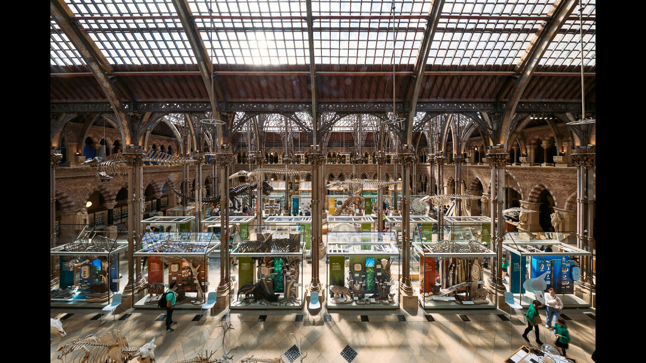 Life as we know it – present day ecosystems - Permanent Exhibition - Oxford University Museum of Natural History