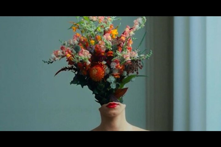 We need more flowers - - funnyhowfowersdothat.co.uk