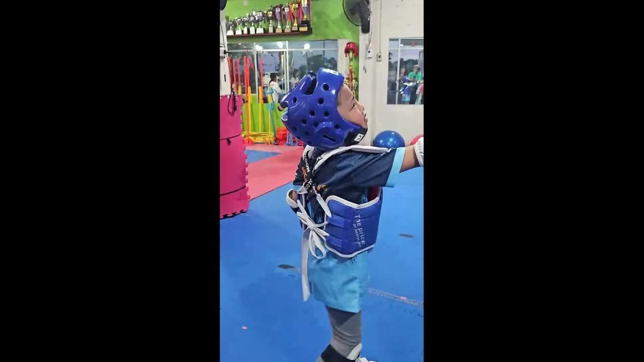 not the last kick - hatari - hatari