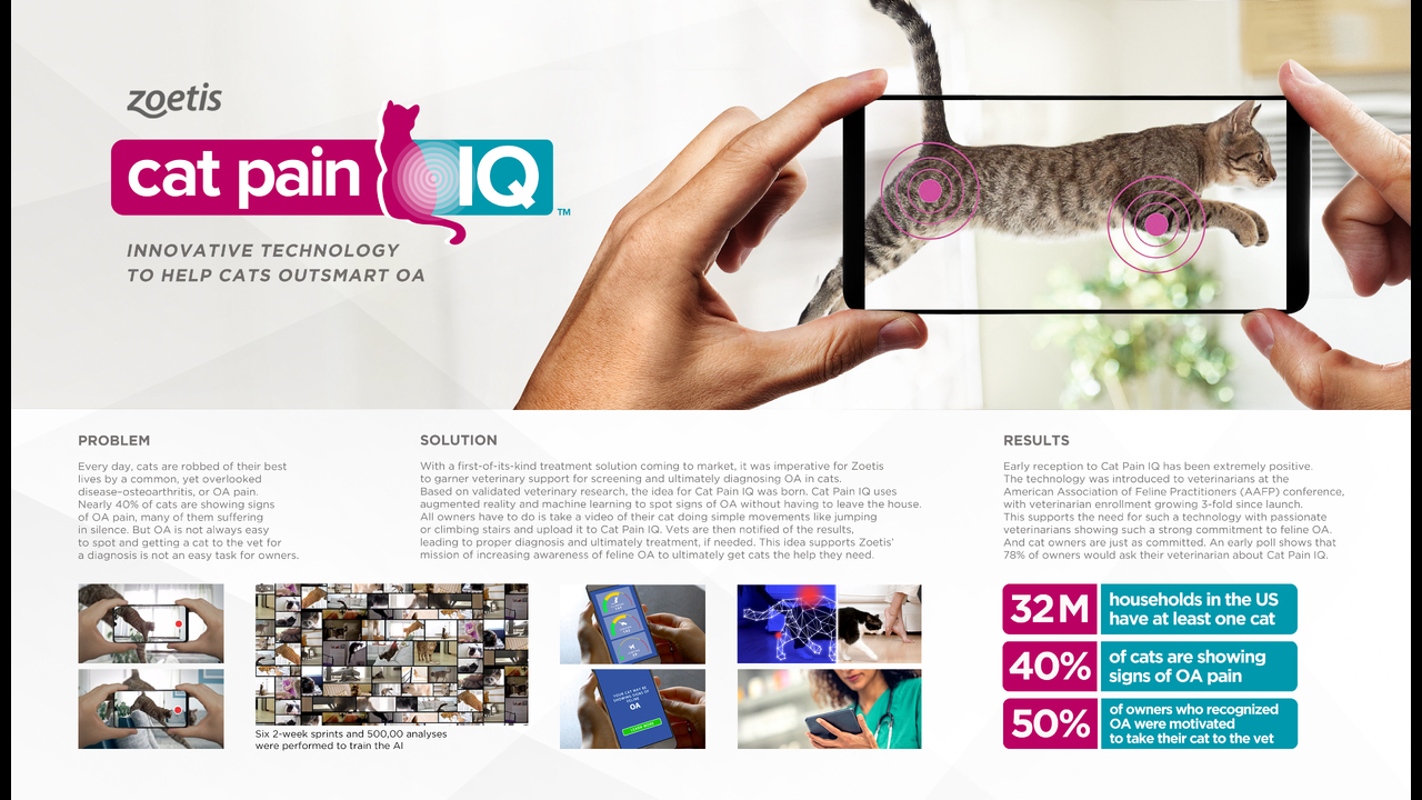 Cat Pain IQ - Cat Pain IQ - New technology to diagnoses osteoarthritis in cats