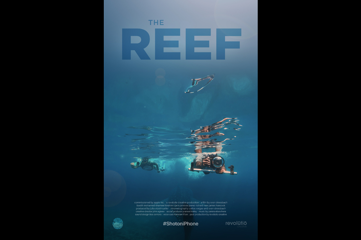 The Reef - iPhone - Apple