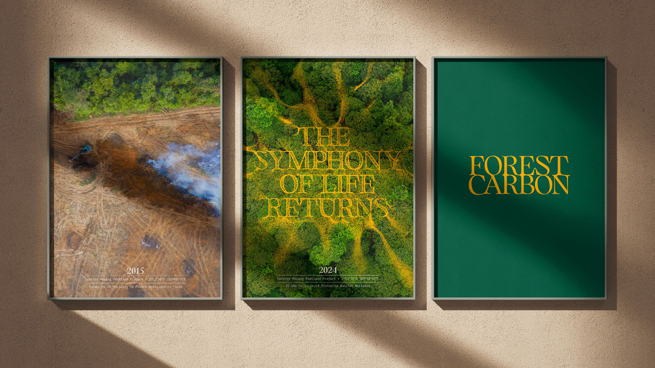 Forest Carbon - - Forest Carbon